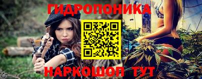 apvp Моздок
