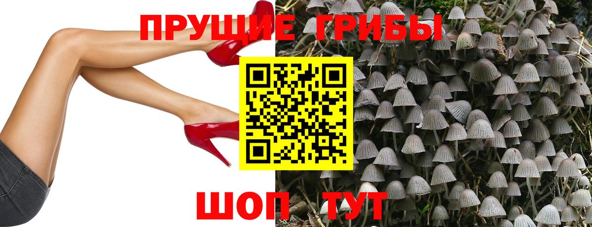 Стрежевой  Псилоцибиновые грибы Cubensis  Вход с VPN 