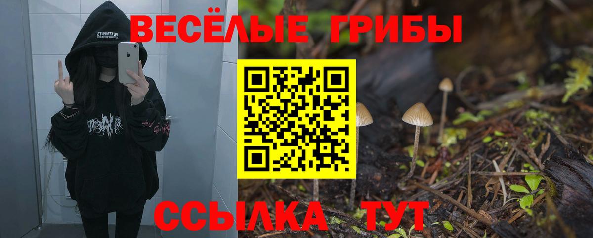 Псилоцибиновые грибы Cubensis Стрежевой